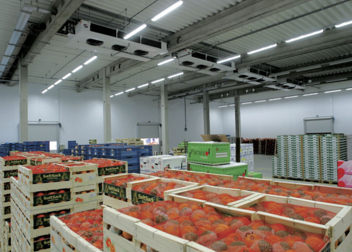 ARTECO Commercial Cold Room for Fruit 1