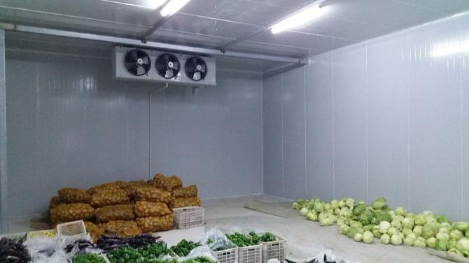 ARTECO Commercial Cold Room for Vegetables 2